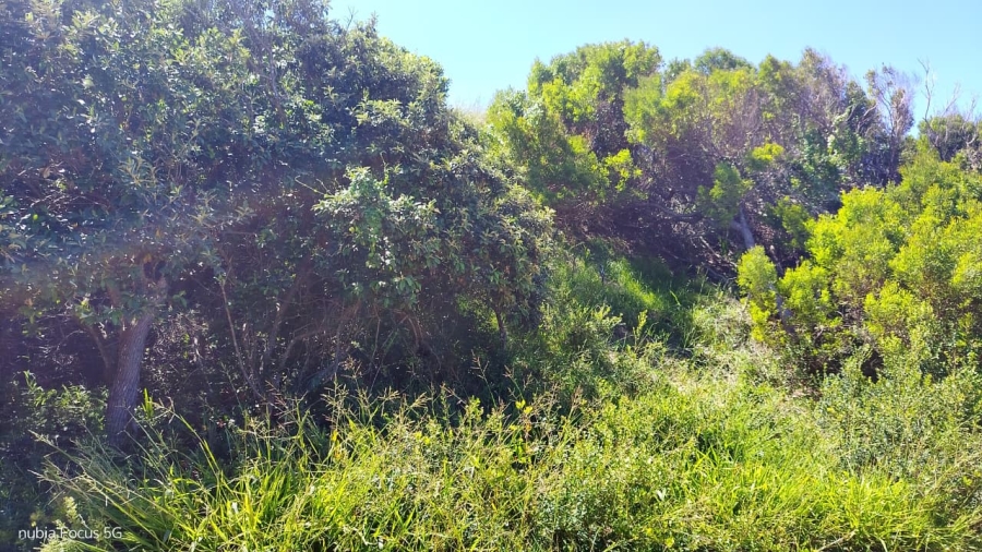 Commercial Property for Sale in Paradise Beach Eastern Cape